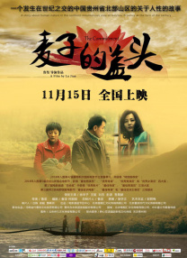 我的哥哥是个G